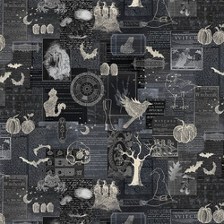 Collage in Black