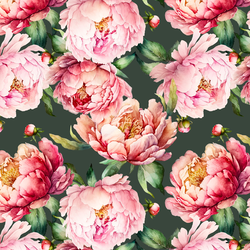Blooming Peonies in Garden Green