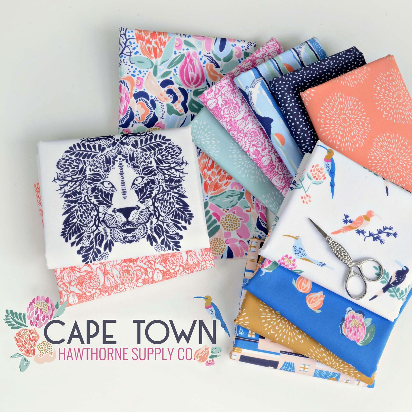 Cape Town Poster Image