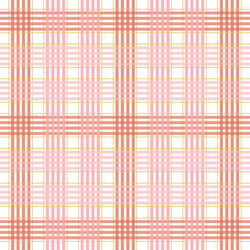 Summer Plaid in Cape Pink
