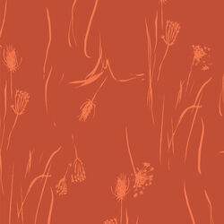 Seed Head in Six