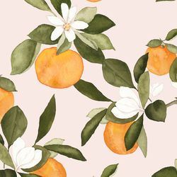 Large Orange Blossom in Pale Dawn