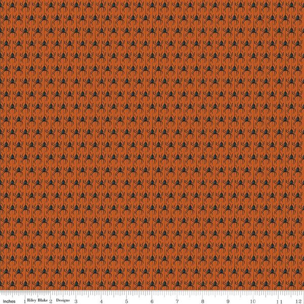 Spiders in Pumpkin
