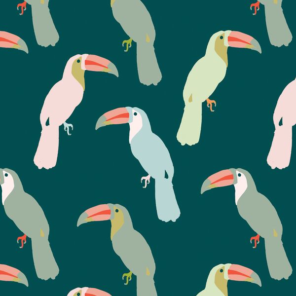 Toucans in Jungle