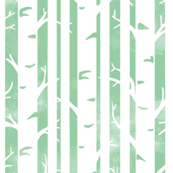 Big Birches in Sprout