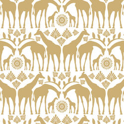 Giraffe Tribe in Golden Canyon