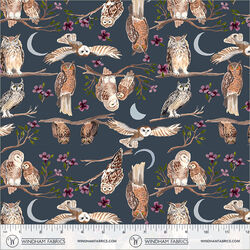 Night Birds in Night