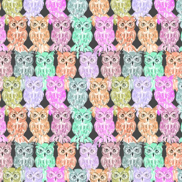 Owls in Night