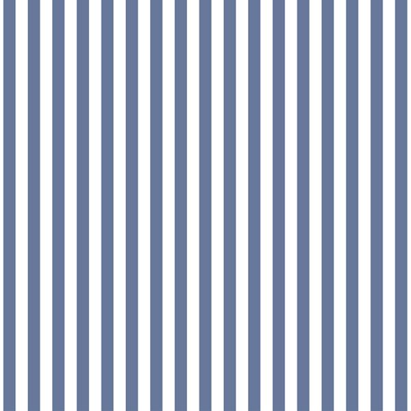Dress Stripe in Azurite