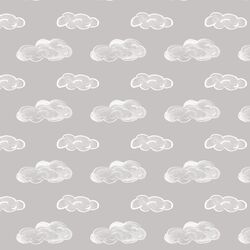 Clouds in Cirrus Gray