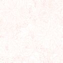 Paperie in Charleston Peach on White