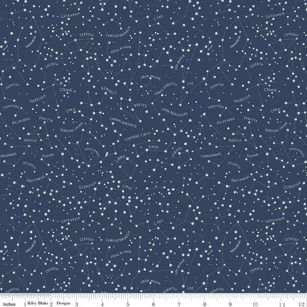 Constellations in Navy