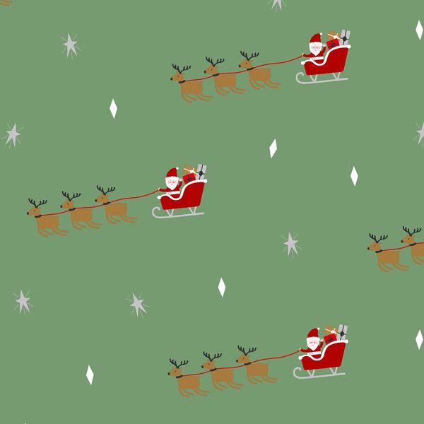 Reindeer Flight in Mistletoe