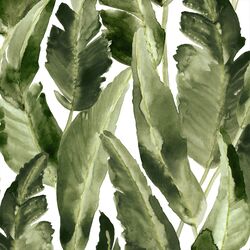 Large Wild Banana Leaf in White