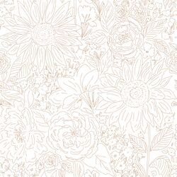 Paperie in Cookie on White
