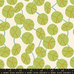 Pilea in Natural