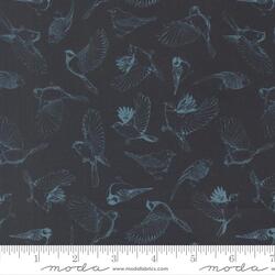Flock of Feathers in Midnight