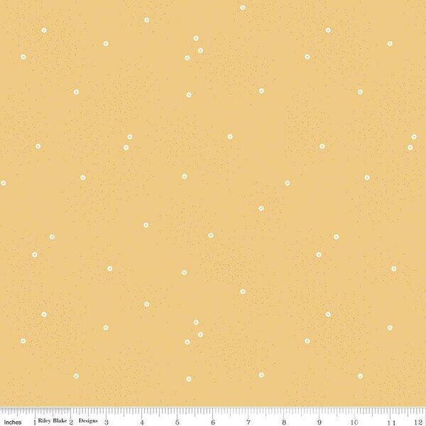 Dainty Daisy in Honey