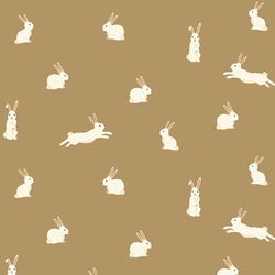 Bunny Rabbits in Prairie