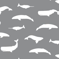 Whale Silhouette in Smoke