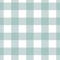 Large Gingham in North Shore