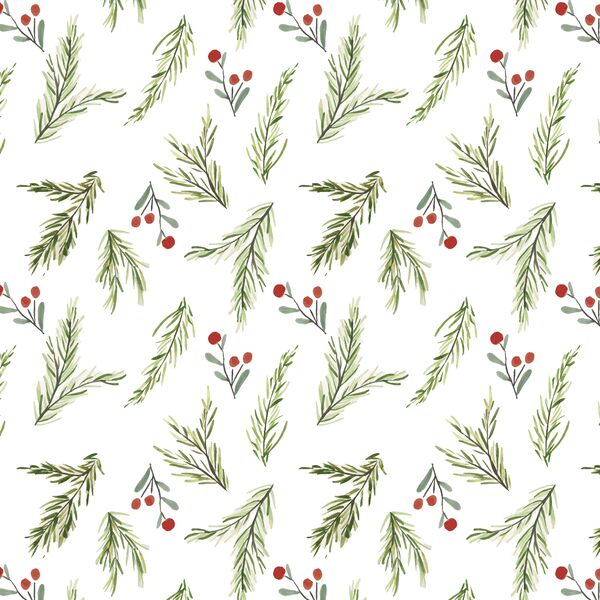 Pine Berry in Present