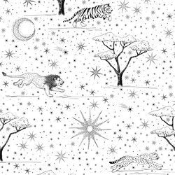 Celestial Safari in Night