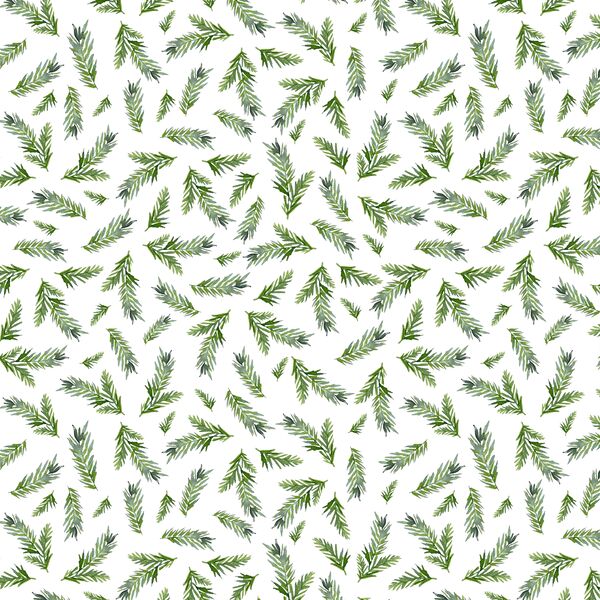 Pine Branches in Snow White