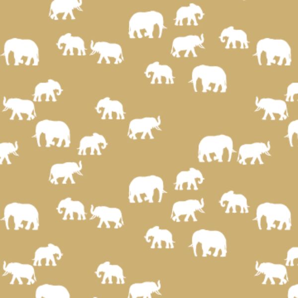 Elephant Silhouette in Golden Canyon