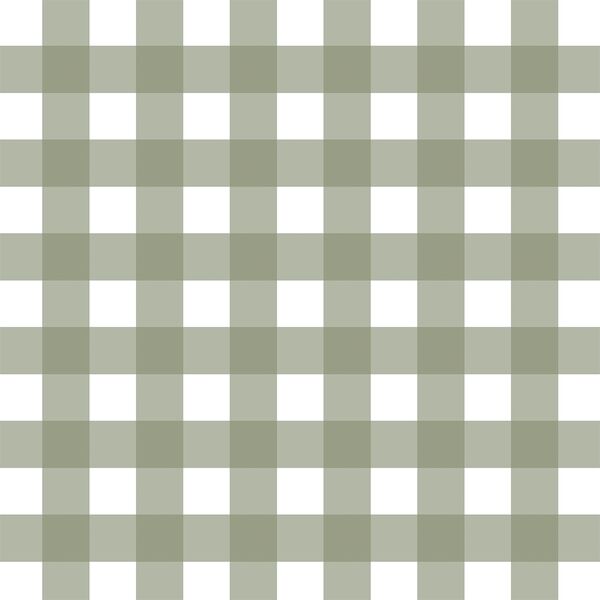 Meadow Gingham in Soft Sage