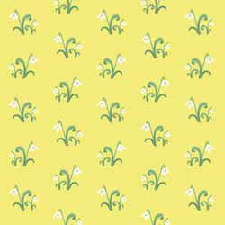 Snowdrop in Sunshine