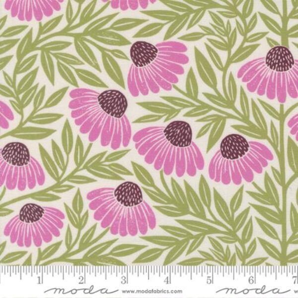 Echinacea in Multi