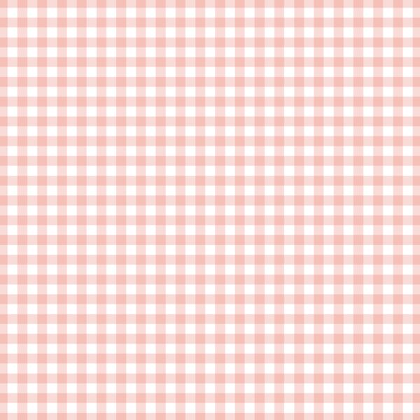 Little Gingham Check in Pink Peach