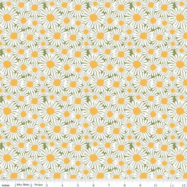 Daisies in Green