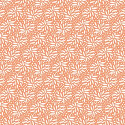 Seeds in Tangerine
