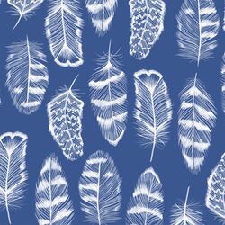Plume in Blue Jay