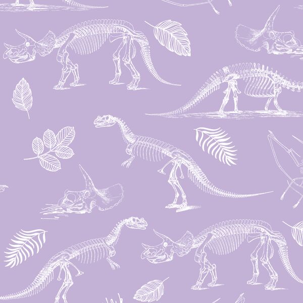 Fossils in Lilac