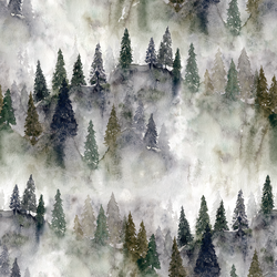 Large Misty Mountains in Forest