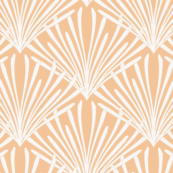 Large Shells in Citrus Glow