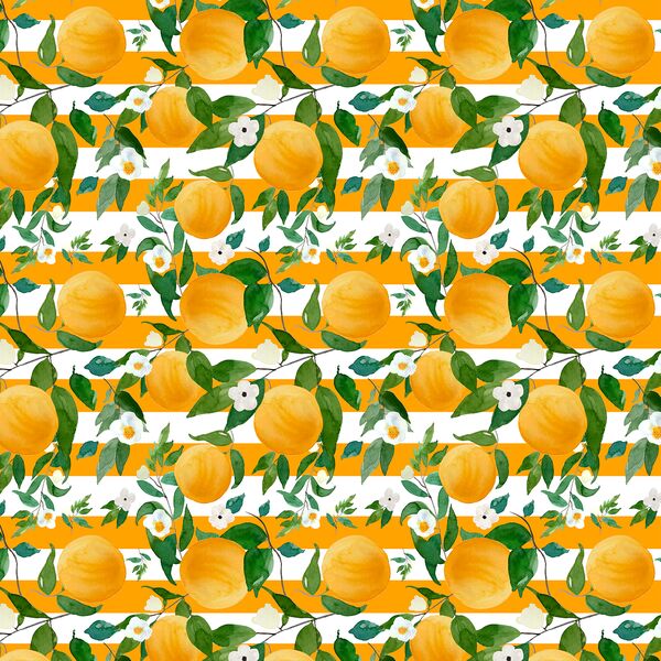 Small Oranges in Orange Stripes