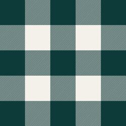 Thick Plaid in Emerald