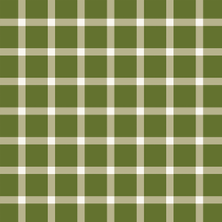 Plaid in Winter Forest