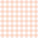 Gingham in Peaches