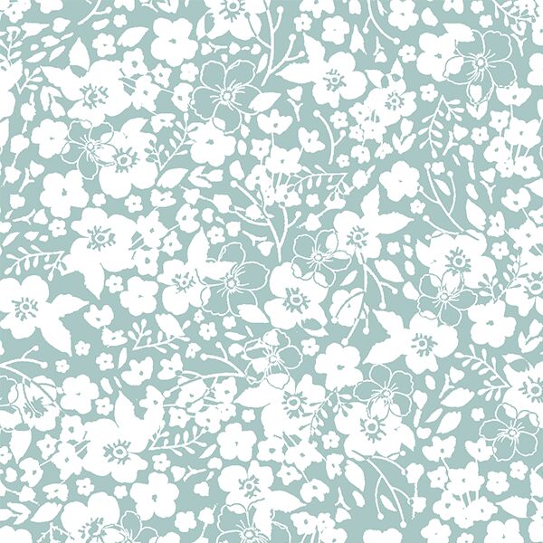 Forget Me Not in Aspen