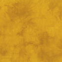 Palette in Mustard
