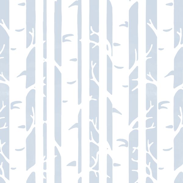 Birches in Cirrus