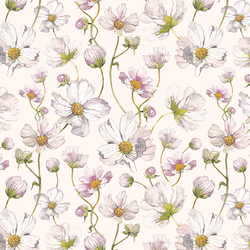 Spring Cosmos in Eggshell