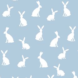 Cottontail Silhouette in Sky
