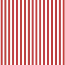 Dress Stripe in Geranium