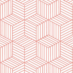 Cubic in Tulip